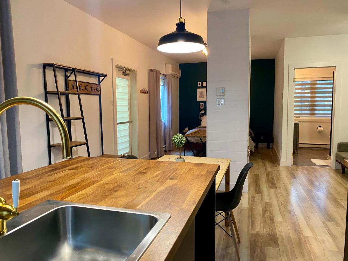 Condos St-Come - Le Loft, Au Coeur Des Activites Saint Come Buitenkant foto